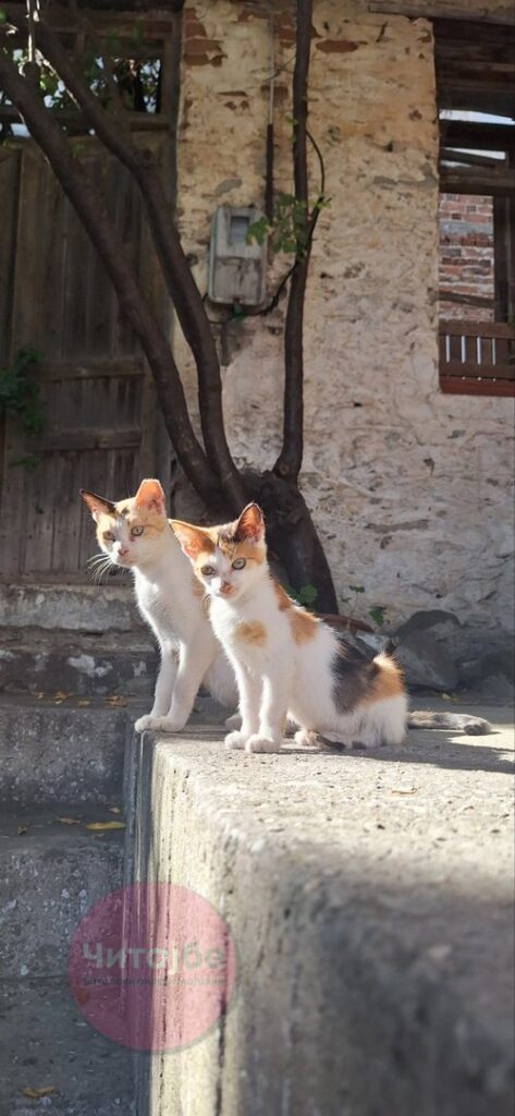 Кавала и Тасос – две дестинации, едно незаборавно патување 15 kavala 9