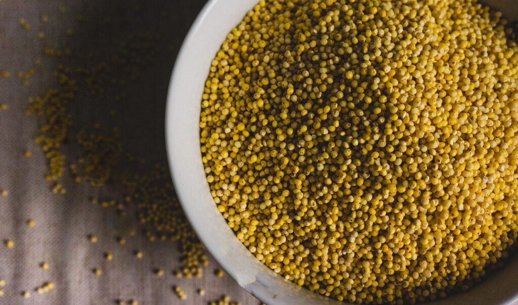 Просо за појадок: Мало зрно со голема моќ 3 millet 7566575 1280