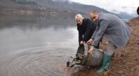 Порибување на акумулацијата „Стрежево“ 2 gCFUBAADPAAssAAGY1TvFAAAAAElFTkSuQmCC