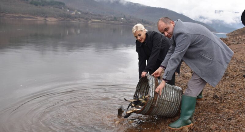 605321633 4202262693365427 7087947819001537087 n