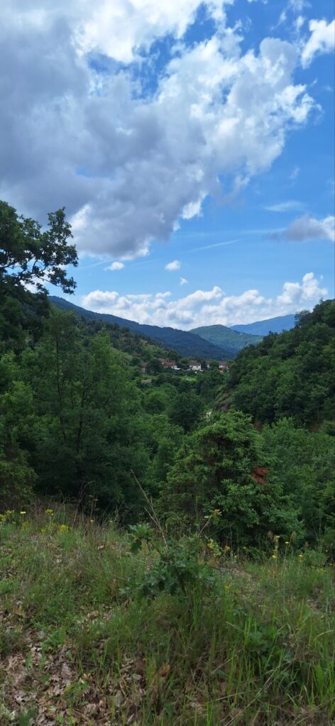 Скриена магија на Бабуна – таму каде природата раскажува свои приказни 16 бабуна 14