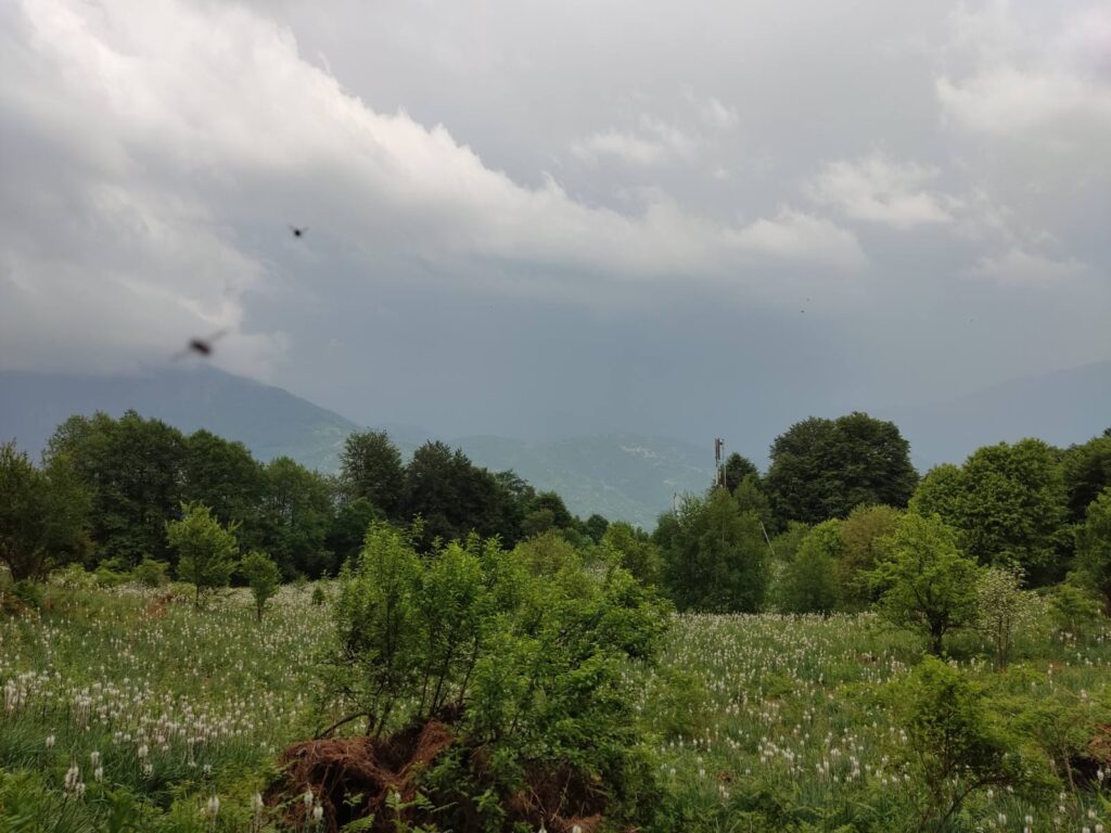 Скриена магија на Бабуна – таму каде природата раскажува свои приказни 26 бабуна 19