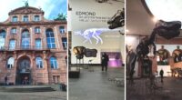 Диносауруси и еволуција: прошетка низ праисторијата во Senckenberg музејот во Франкфурт 2 gCFUBAADPAAssAAGY1TvFAAAAAElFTkSuQmCC