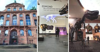 Диносауруси и еволуција: прошетка низ праисторијата во Senckenberg музејот во Франкфурт 42 r25IQAEAAAAAAAAAAPBsJkgAAauTjWAAAAAASUVORK5CYII=