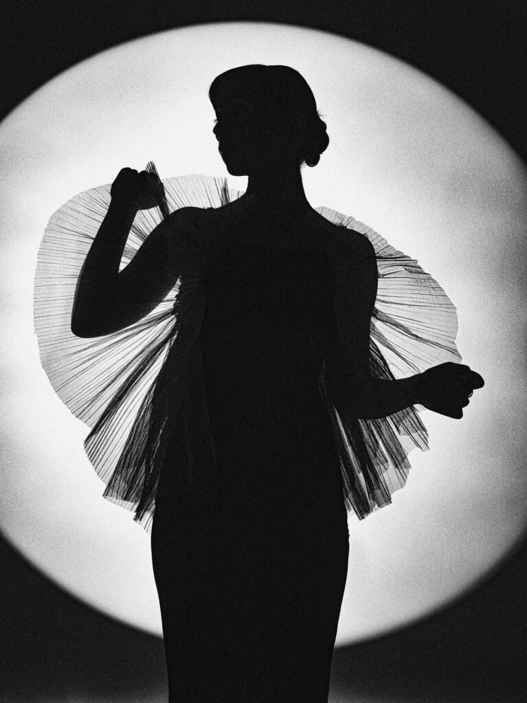 Интервју со Атанасија Гулевска: „Лакримариум“ е приказна на едно јато албатроси 11 614568058 18015061688812893 7876836760731962099 n 1