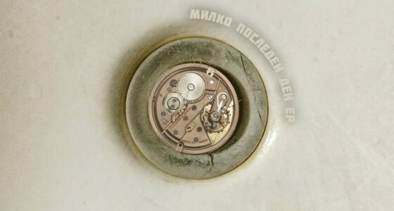 672428232 1554393430020903 1821303755535768609 n