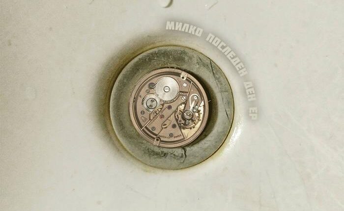 672428232 1554393430020903 1821303755535768609 n