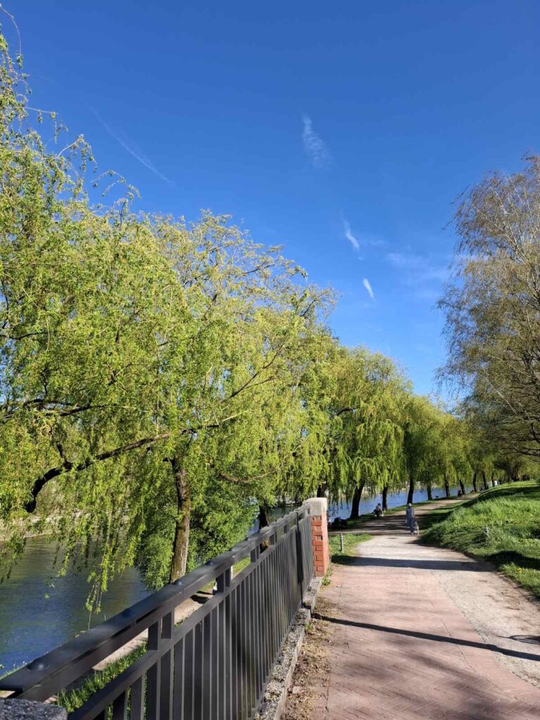 Приказната на Љубљана – градот на мостовите и утринска магла 4 ljubljana