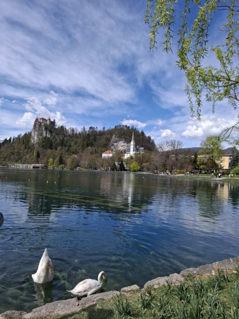 Блед – бисерот на Словенија 6 bled 6