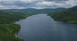 ЈП „Стрежево“: На 8 јуни започнува сезоната за наводнување 35