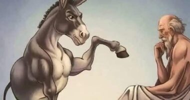 Незнаењето вика, мудроста молчи 5 r25IQAEAAAAAAAAAAPBsJkgAAauTjWAAAAAASUVORK5CYII=